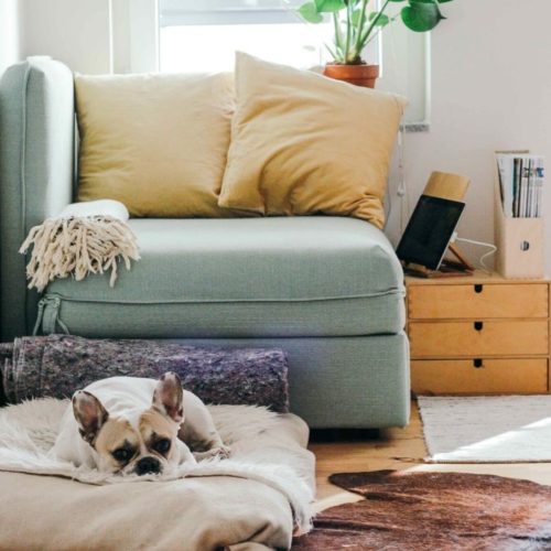 7 tips to work from home when others are in your space